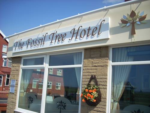 The Fossil Tree Hotel reception