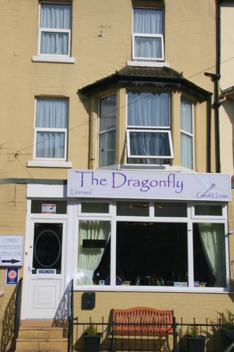 The Dragonfly reception